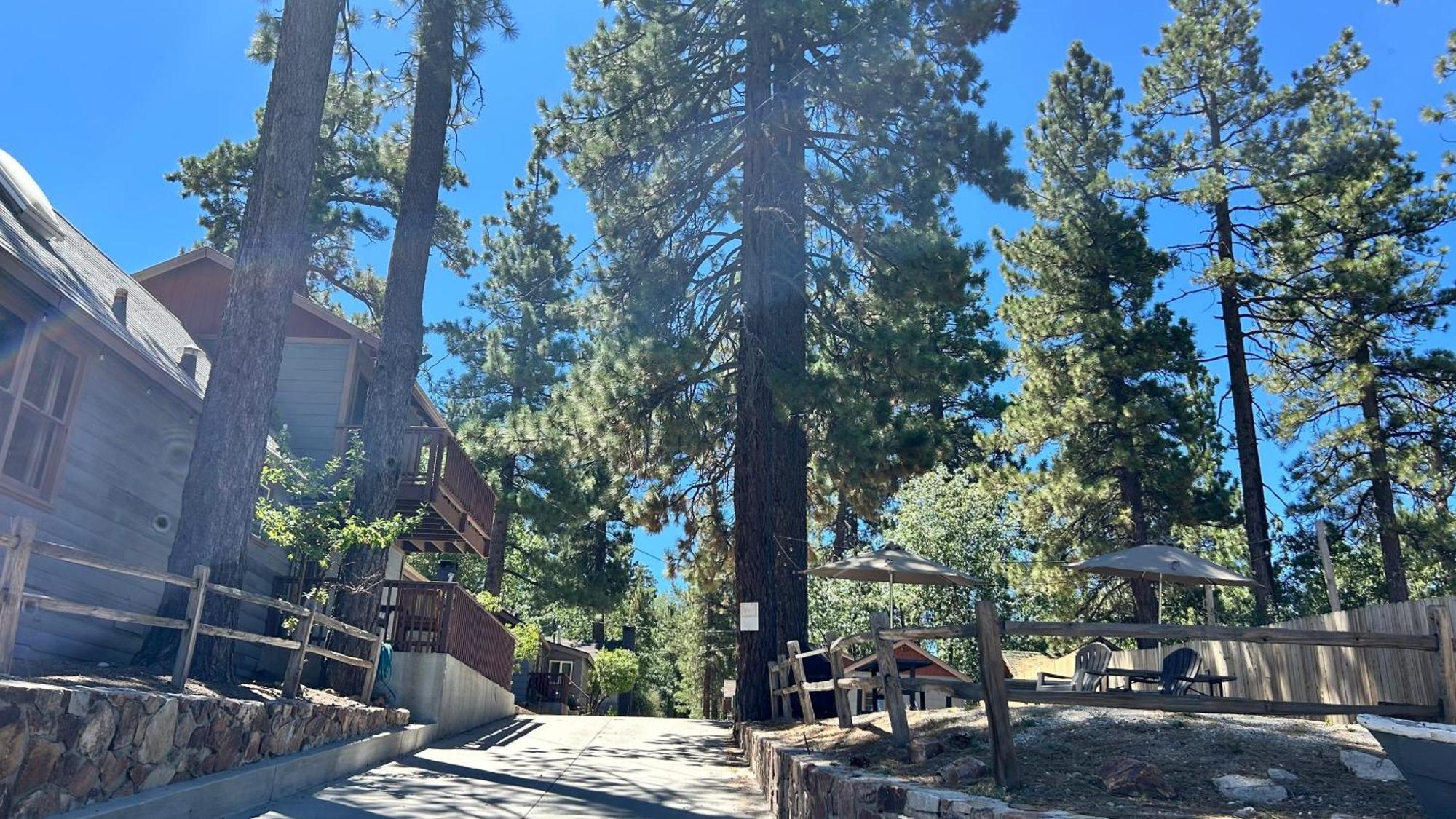 Fox N Bear Cottages Big Bear Big Bear Lake Exterior foto